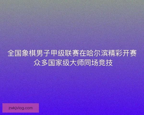 全国象棋男子甲级联赛在哈尔滨精彩开赛 众多国家级大师同场竞技